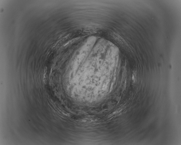 X0000082730867200702091835