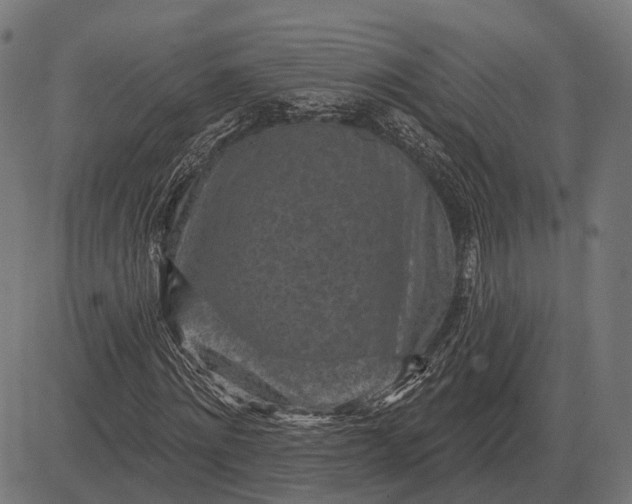 X0000082730868200702091835