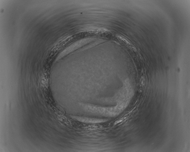 X0000082730869200702091835