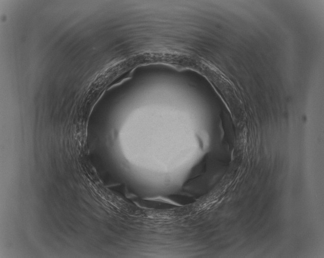 X0000082730870200702091835