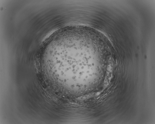 X0000082730871200702091835