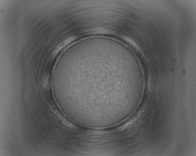 X0000082730873200702091835