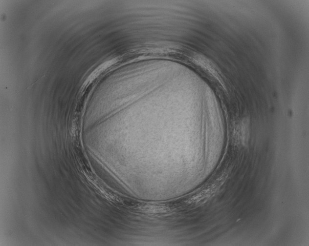 X0000082730874200702091835