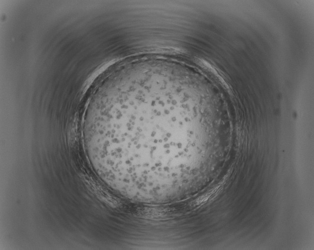 X0000082730875200702091835