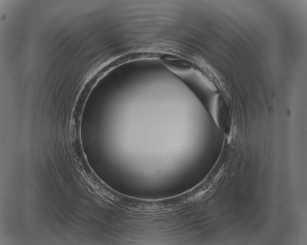 X0000082730876200702091835