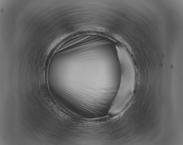 X0000082730877200702091835