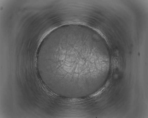 X0000082730879200702091835