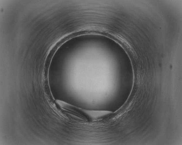 X0000082730880200702091835