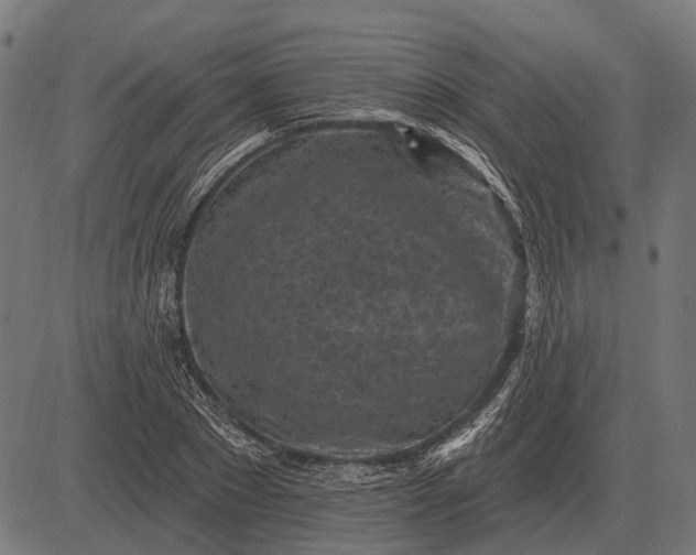 X0000082730881200702091835