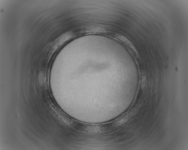 X0000082730882200702091835