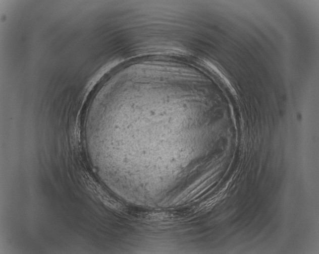 X0000082730883200702091835