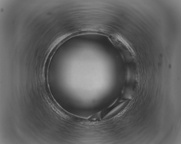 X0000082730884200702091835