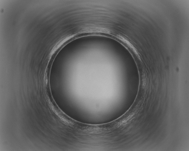 X0000082730885200702091835