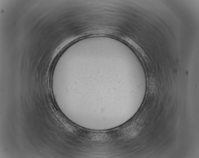 X0000082730886200702091835