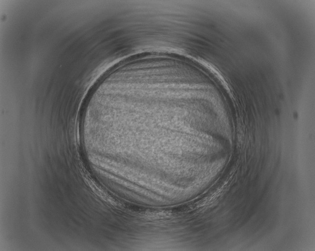 X0000082730887200702091835