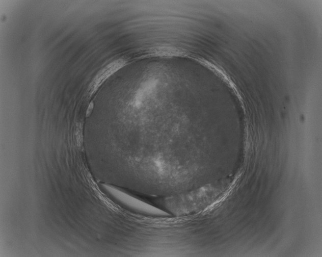 X0000082730889200702091835