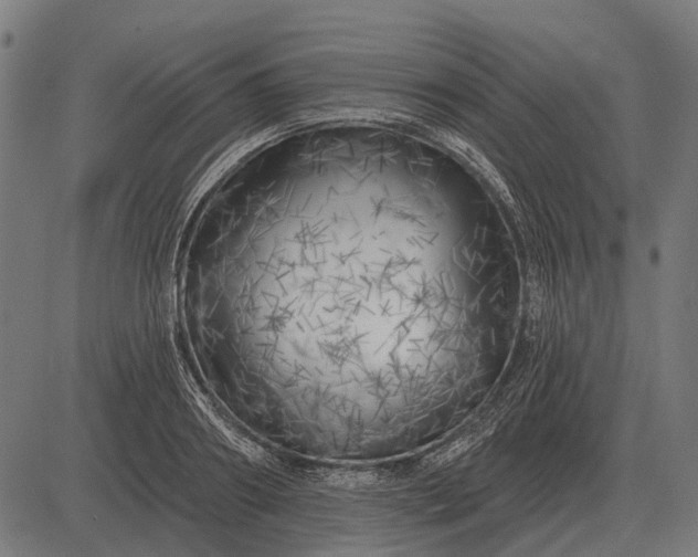 X0000082730890200702091835