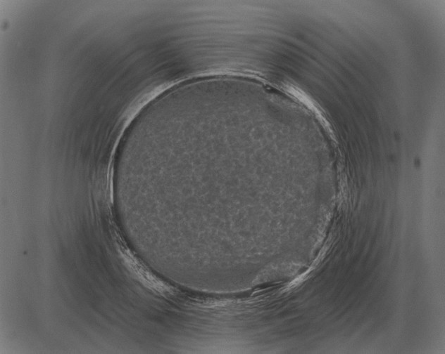 X0000082730892200702091835