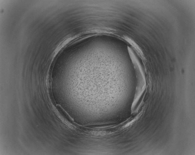 X0000082730893200702091835