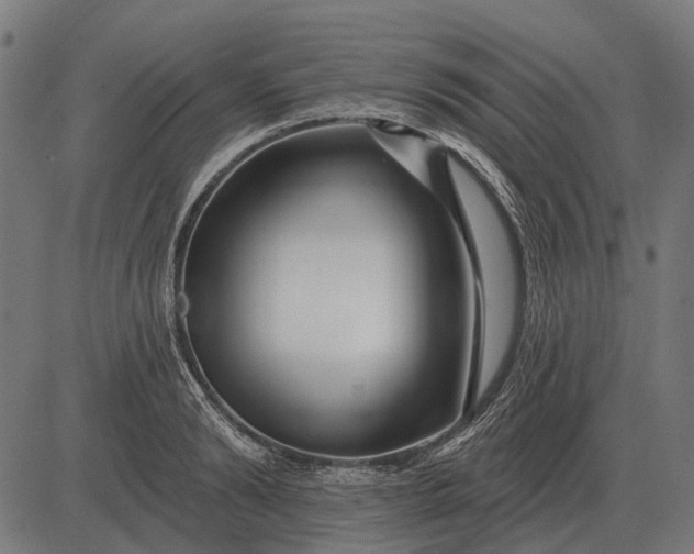 X0000082730894200702091835