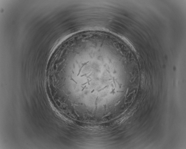 X0000082730895200702091835