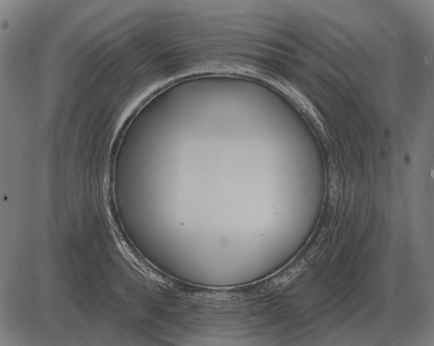 X0000082730896200702091835