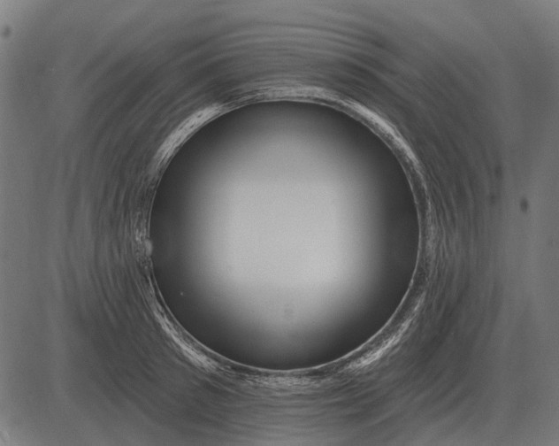 X0000082730897200702091835