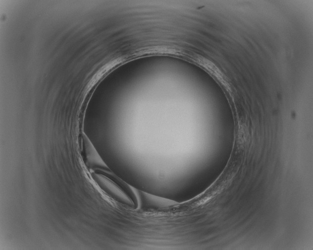 X0000082730898200702091835