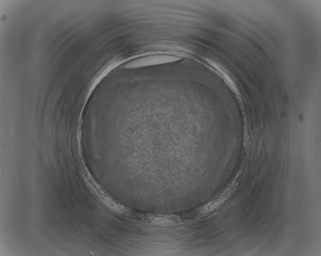 X0000082730899200702091835