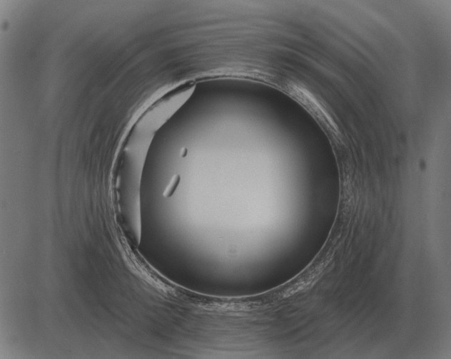 X0000082730900200702091835