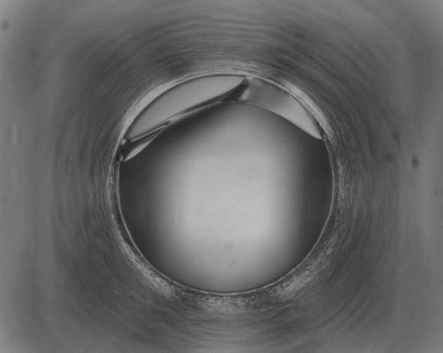 X0000082730901200702091834