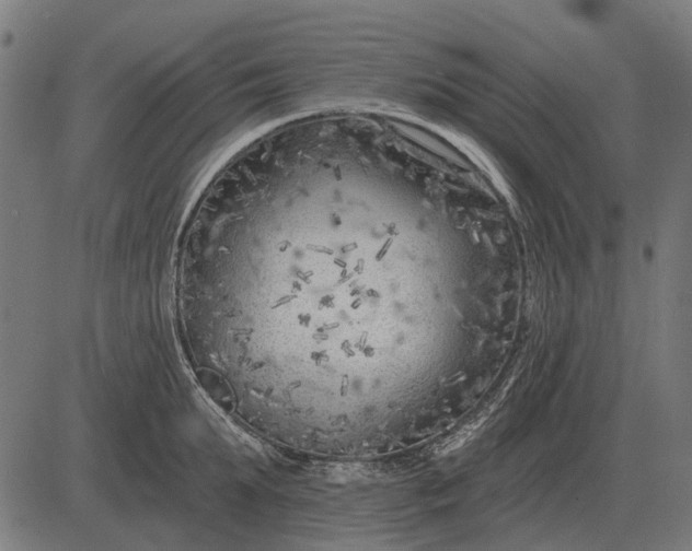 X0000082730903200702091834