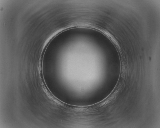 X0000082730904200702091834