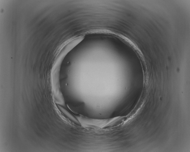 X0000082730905200702091834