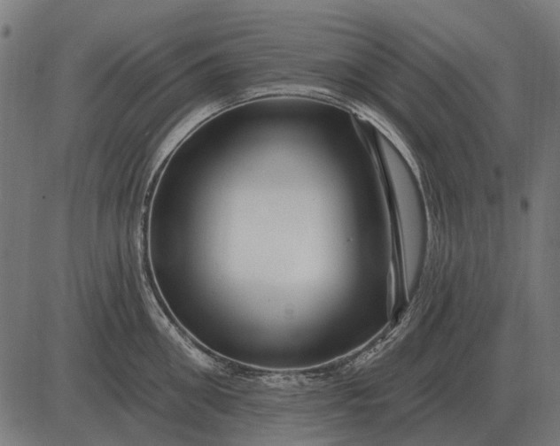 X0000082730906200702091834