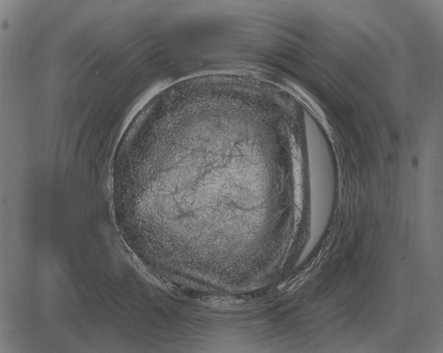 X0000082730907200702091834