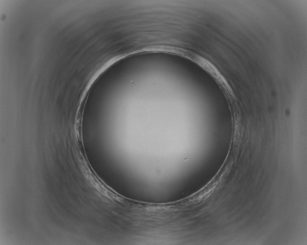 X0000082730908200702091834