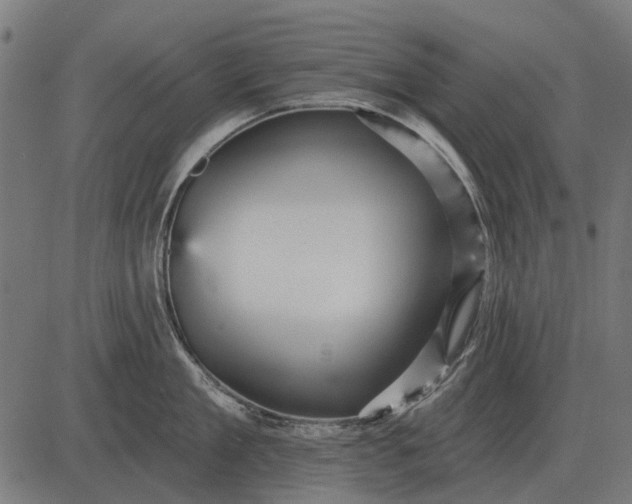 X0000082730909200702091834