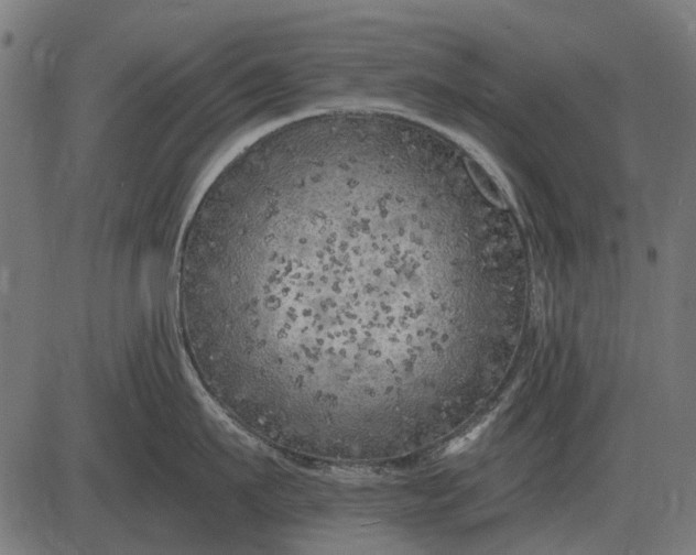 X0000082730911200702091834