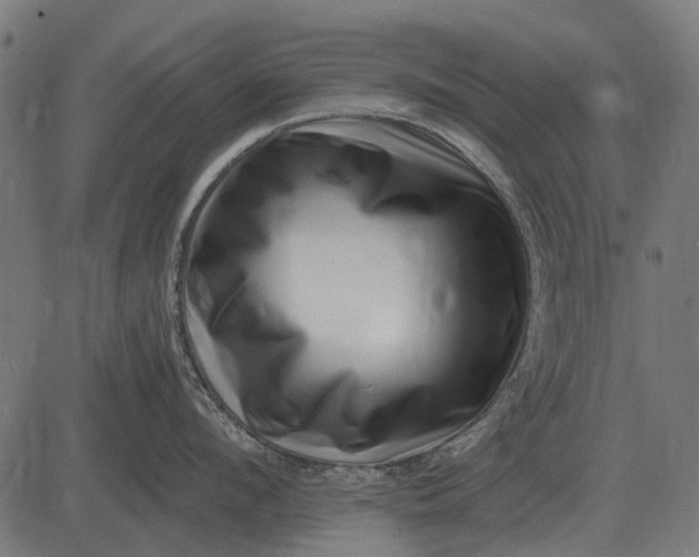 X0000082730912200702091834