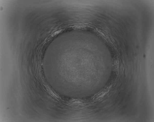 X0000082730913200702091834