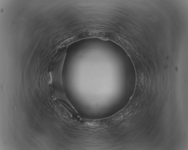 X0000082730914200702091834