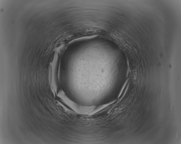 X0000082730916200702091834