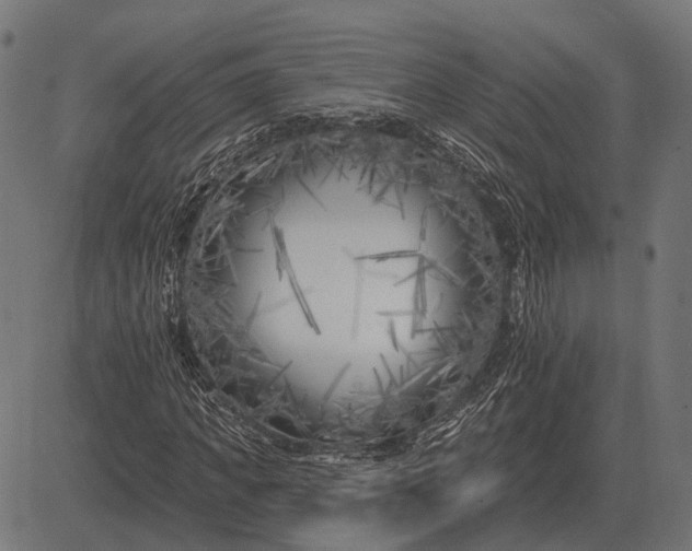 X0000082730917200702091834