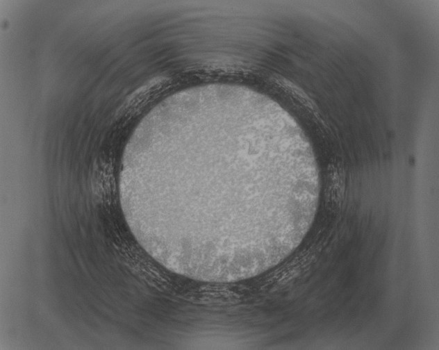 X0000082730918200702091834