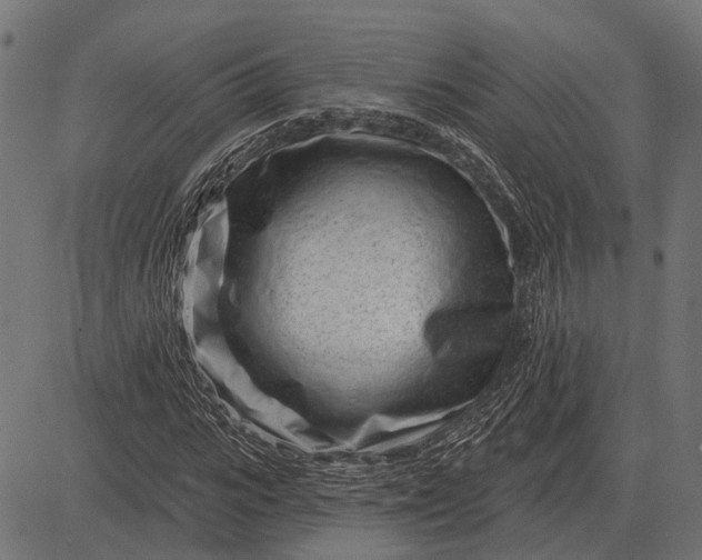 X0000082730919200702091834