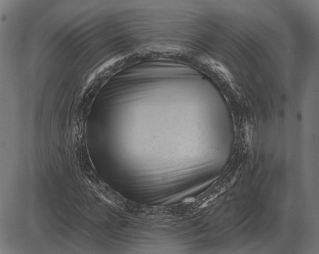 X0000082730920200702091834