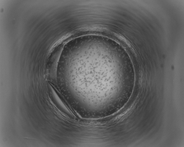 X0000082730922200702091834