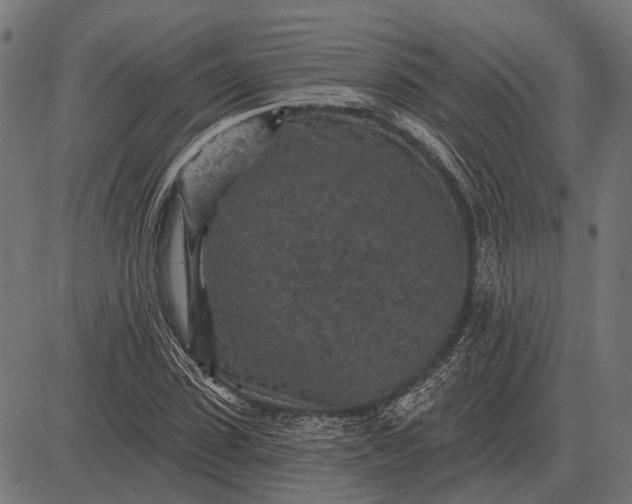 X0000082730923200702091834