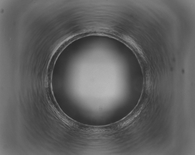 X0000082730924200702091834